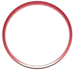 Janta Salt AM 20 36G rosu mat 2011