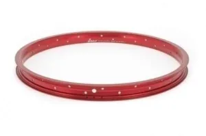 Janta Salt AM 20 48G rosu mat 2011