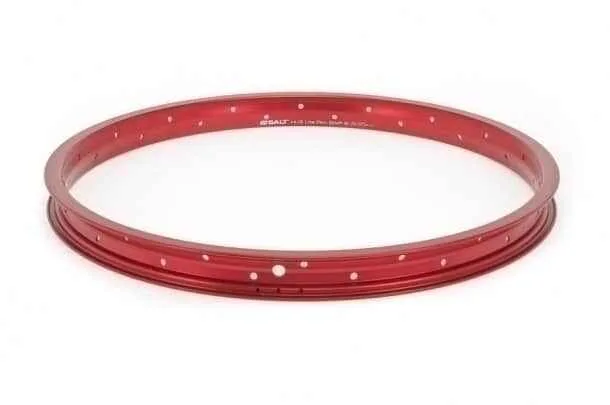 Janta Salt AM 20 48G rosu mat 2011