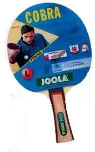 Paleta Joola Python Spartan