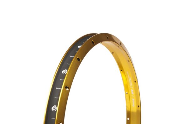 Janta eclat JAW perete Aero 20 36H gold 2014 JANTA
