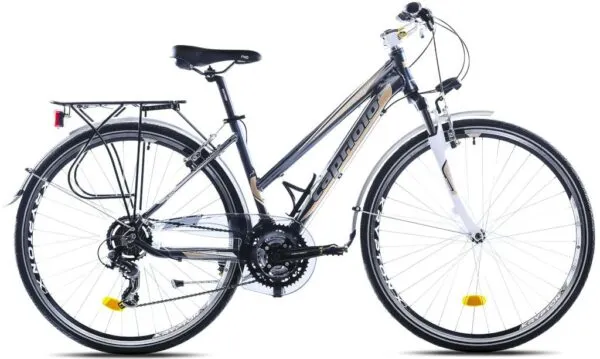 Bicicleta Capriolo Roadster Lady grey-blue 19