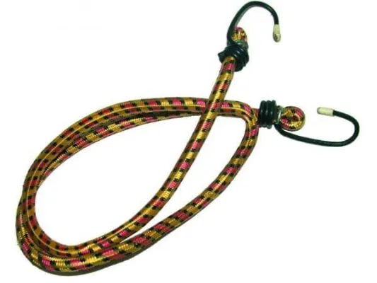 Chinga elastica