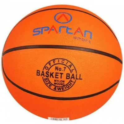 Minge baschet Florida Spartan GR 7