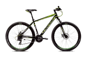 Bicicleta MTB 29 Capriolo Oxygen verde negru 21