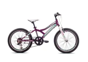 Bicicleta copii 20 Capriolo Diavolo bordo turcoaz 11