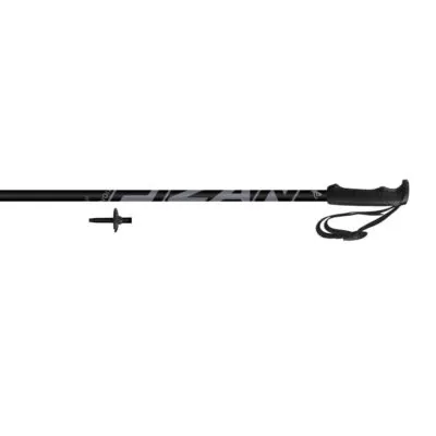 Bete schi FIZAN Action Alpin schwarz 115cm