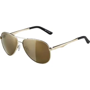 Ochelari Alpina A 107 gold CMGO