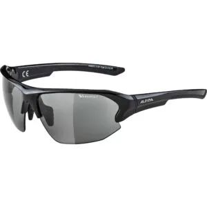 Ochelari Alpina LYRON HR black VL