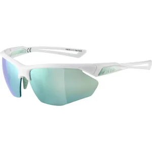Ochelari Alpina NYLOS HR white-pistachio CME