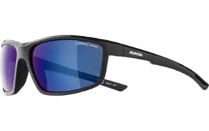 Ochelari Alpina DEFEY black CMB