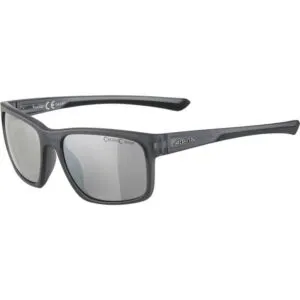 Ochelari Alpina LINO I grey transparent mat CM