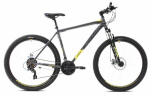 Bicicleta Capriolo Oxygen 29 silver-green 21