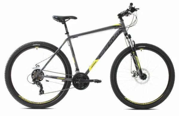 Bicicleta Capriolo Oxygen 29 silver-green 21