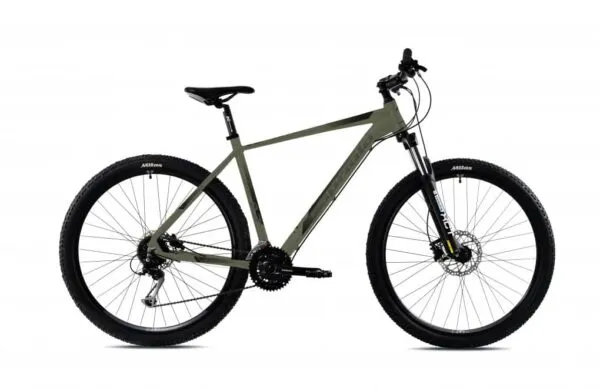 Bicicleta Capriolo Level 9.3 29 mat- reseda green-grey 21