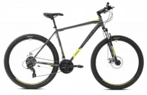 Bicicleta MTB 29 Capriolo Oxygen argintiu verde 19