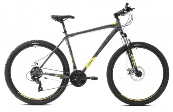 Bicicleta Capriolo Oxygen 29 silver-green 19