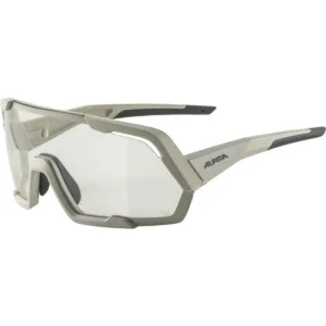Ochelari ALPINA ROCKET V cool-grey mat