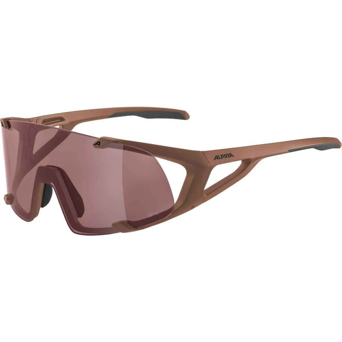 Ochelari ALPINA HAWKEYE Q-LITE brick mat