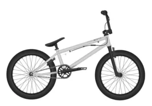 Bicicleta BMX FISHBONE P2000 20 gri deschi