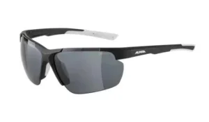 Ochelari Alpina DEFEY HR black-white C