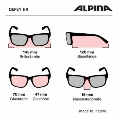Ochelari Alpina DEFEY HR black-white C - imagine 3