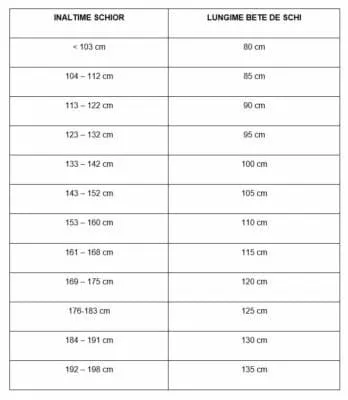 Bete schi HEAD MULTI 130cm - imagine 2