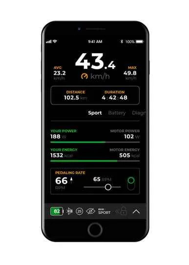 SpeedBox 1.1 B.Tuning pentru Bosch smart system - imagine 6