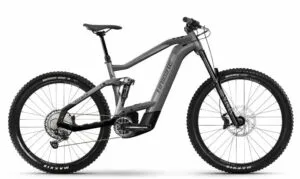 e-bike Haibike ALLMTN 5 12-G NX Eagle i750Wh 2024 GL platinum black M