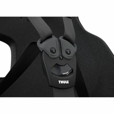 Thule Yepp Nexxt 2 Maxi Frame mount mint - imagine 5