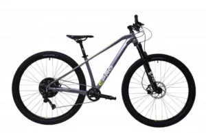 Bicicleta MTB 29 Capriolo AL-PHA 9.6 Disc-brake aluminiu gri 15.5 S