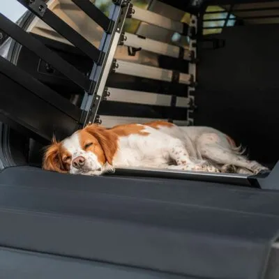 Thule Allax covoras Wide pentru cutie transport caine - imagine 4
