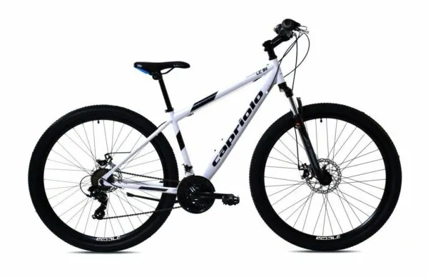 Bicicleta Capriolo MTB LC 9.X 29 light grey black 17