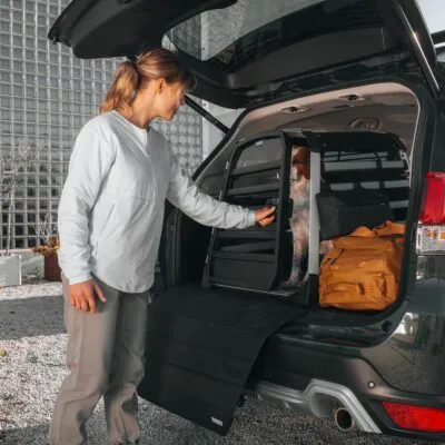 Thule Allax cutie transport caine M negru gri - imagine 6