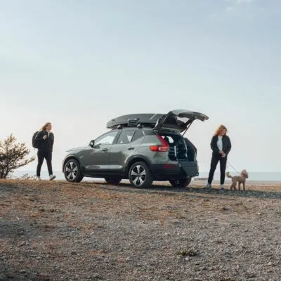Thule Allax cutie transport caine M negru gri - imagine 8