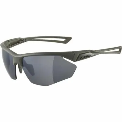 Ochelari ALPINA NYLOS HR moon-grey matt