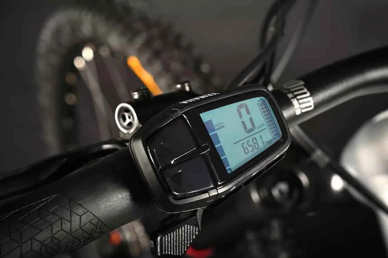 e-bike Haibike ALLMTN 3 29/27.5 12-G Deore i720Wh 2025 XL GL silver white - imagine 5