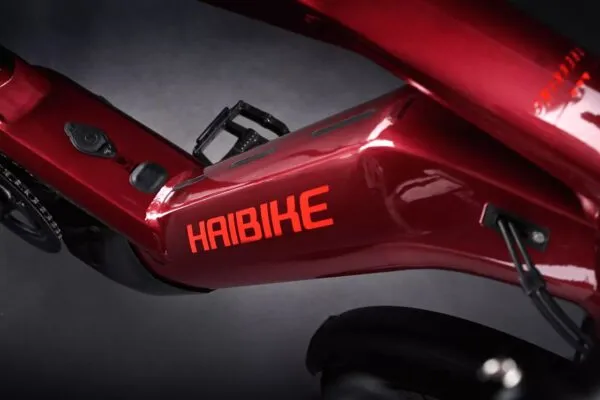 e-bike Haibike Trekking 11 High 12-G GX Eagle i750Wh 2024 L tuscan/neon red gloss glossy - imagine 5
