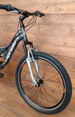Bicicleta Capriolo MTB CTX240 24 matt grey orange 14 - imagine 3