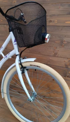Bicicleta Capriolo Picnic Melody 26HT white17 - imagine 3
