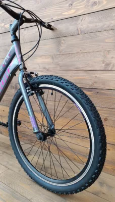 Bicicleta Capriolo MTB 24 DIAVOLO 400/6HT gray purple 12 - imagine 3