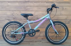 Bicicleta Capriolo MTB STINGER 20/7HT graphite violet 11