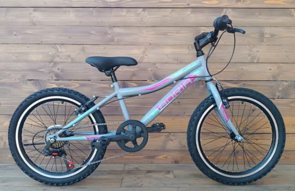Bicicleta Capriolo MTB STINGER 20/7HT graphite violet 11