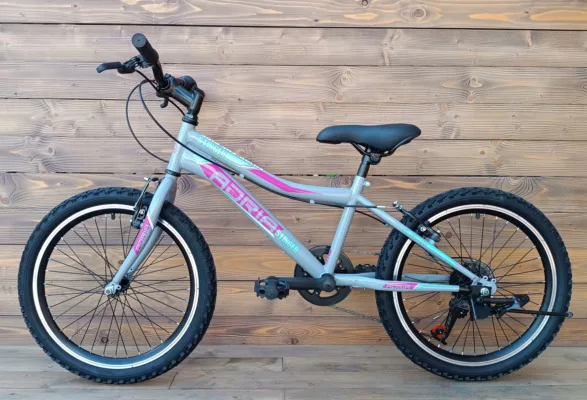 Bicicleta Capriolo MTB STINGER 20/7HT graphite violet 11 - imagine 2
