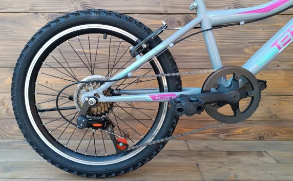 Bicicleta Capriolo MTB STINGER 20/7HT graphite violet 11 - imagine 5