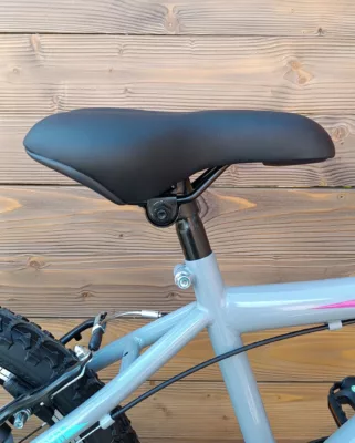 Bicicleta Capriolo MTB STINGER 20/7HT graphite violet 11 - imagine 10