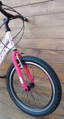 Bicicleta Capriolo MTB 20 DIAVOLO 200 white pink 11 - imagine 3