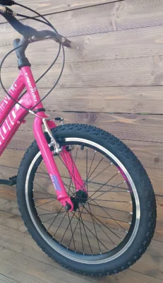 Bicicleta Capriolo MTB 20 DIAVOLO 200 pink purple 11 - imagine 3