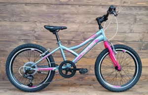 Bicicleta Capriolo 20 Diavolo 200 grey-pink 11