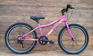 Bicicleta Capriolo MTB Stinger 24 pink-violet 12